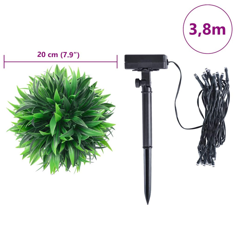 20cm Plant