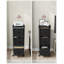 Aeon 38.5cm Wide File Cabinet-1371964400