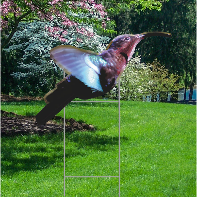 Colibri imperméable en plastique