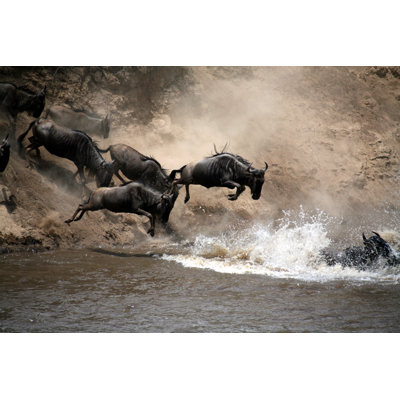 Wildebeest par Paulbanton - Photographie sur toile tendue