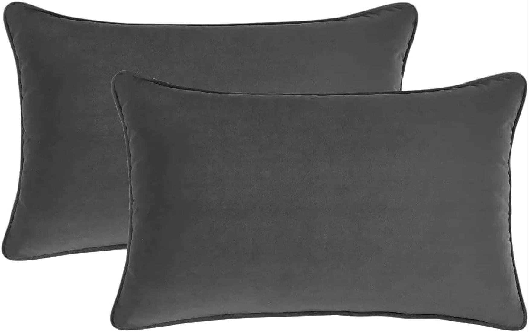 Eider & Ivory™ Cullen Velvet Pillow Cover Wayfair