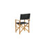 Padma Outdoor Patio Dining Armchair with Cushion