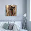 «Curious Cub II» par Collin Bogle, art mural sur toile-1454105445