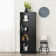 Wassim Single Storage Cabinet ( 65'' H x 24'' W x 16'' D)