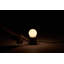 Castle Muse Desk Table Lamp