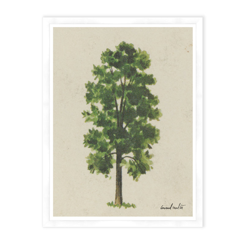 Meadow Tree Print by Tim Klein