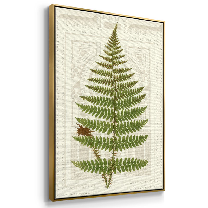 Garden Ferns V, reproduction d'art sur toile, H 41 po x l 27 po x P 1,5 po, Cadre flottant doré