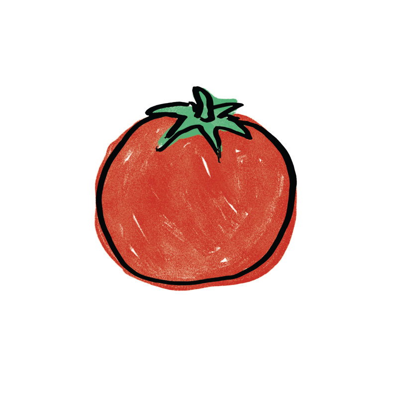 Tomato - Painting Print, 46cm H x 30cm W, Wrapped Canvas