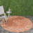 Arneshia Indoor / Outdoor Area Indoor/Outdoor Area Rug-387850442