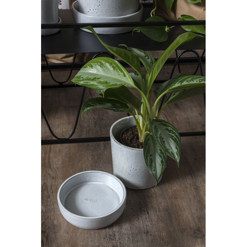 Handmade Ceramic Pot Planter, Off White, 5" H x 5.25" W x 5.25" D