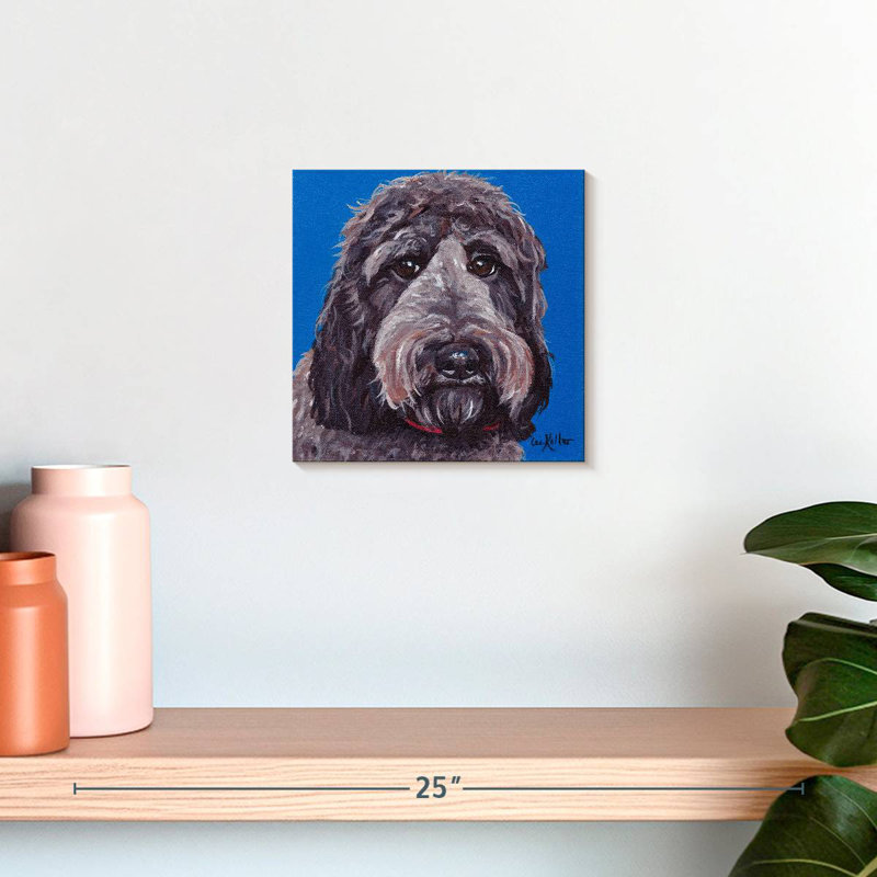 Crowle Labradoodle, H 10 po x l 10 po