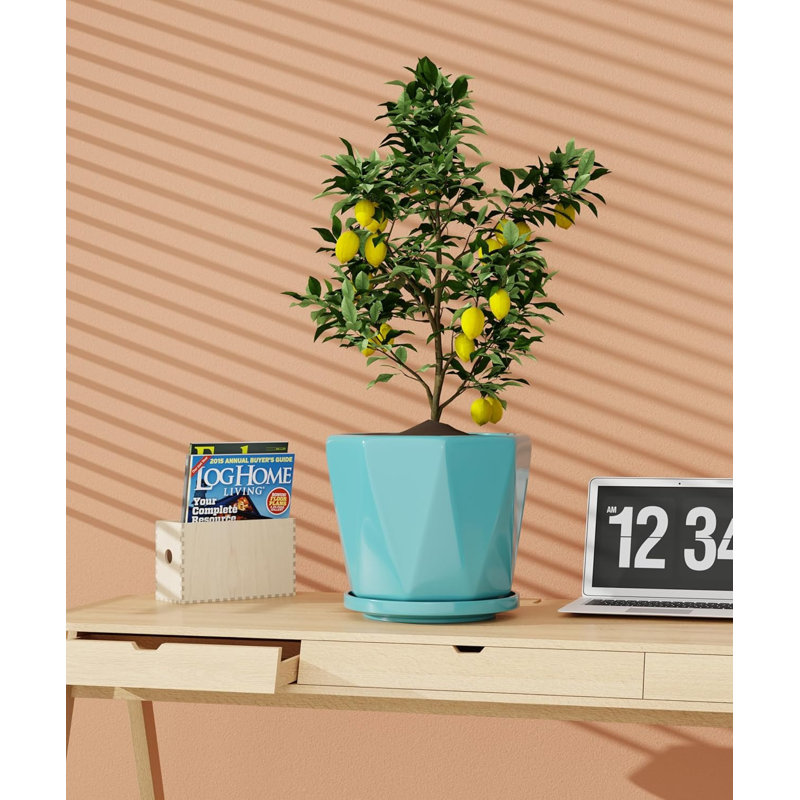 Ensemble de 3 pots à plantes en céramique (8,6 po, 7,1 po, 5,5 po) avec drainage et soucoupes