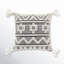 Coussin Reni-1491798228-1491923941