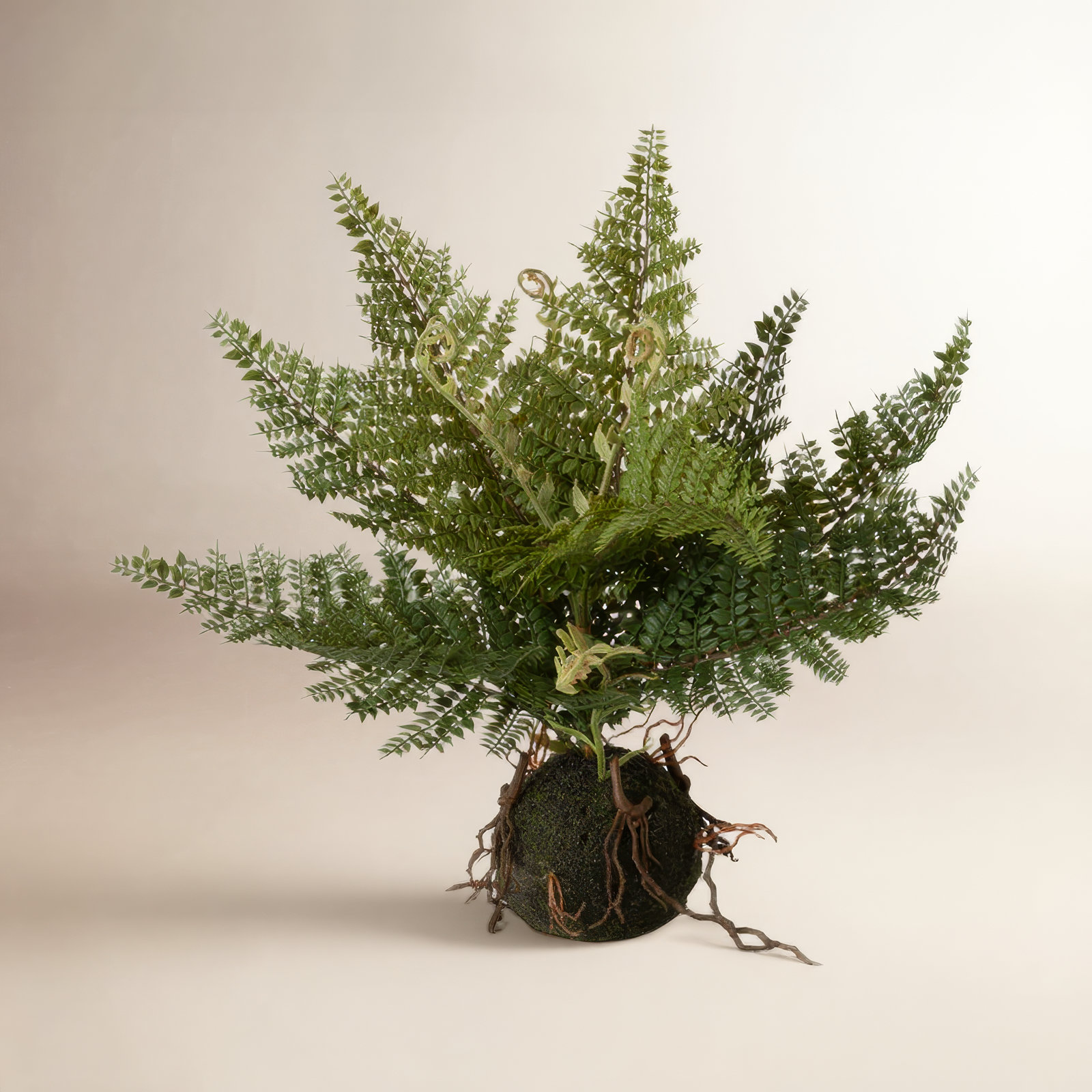 11'' Faux Fern Plant in Freestanding