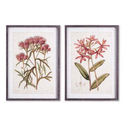 Libourne Pretty in Pink Vintage Prints, Set of 2