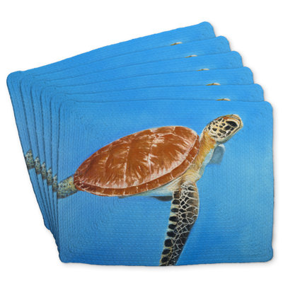 Green Aquatic Turtle Braided Polyester Bonniview Set of 6