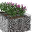 Raised Garden Bed-1114914785
