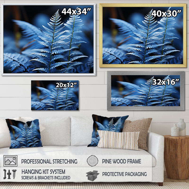 " Ferns Sapphire Tranquillity ", Cadre flottant noir, H 24 po x l 32 po x P 1 po
