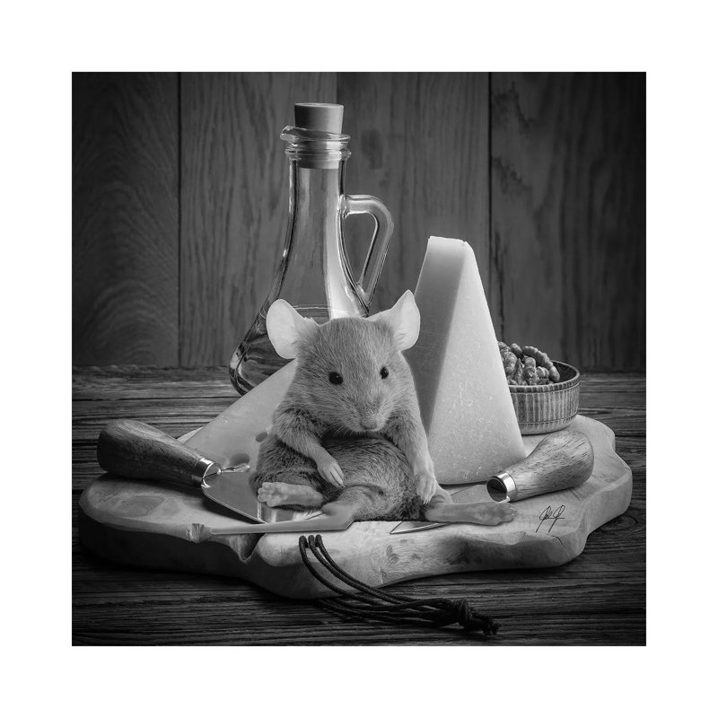 Glutton II by Kathrin Federer - Wrapped Canvas Print, 93.98cm H x 93.98cm W x 1.91cm D