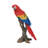 Parrot on Branch Statue