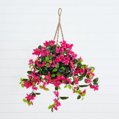 Panier suspendu Bougainvillea