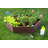 Zainab Raised Garden Bed