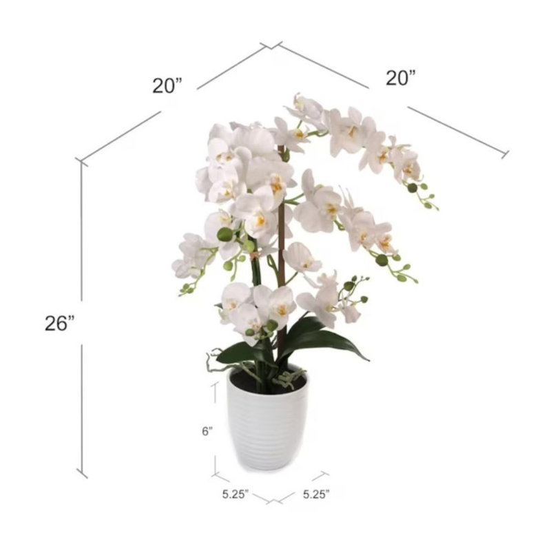 Arrangement floral orchidée phalaenopsis de 17 pouces dans un vase