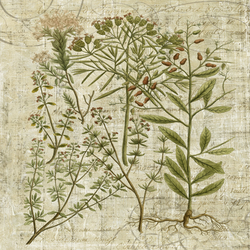 Garden Verses I by Vision Studio - Wrapped Canvas Print, 30cm H x 30cm W x 3.8cm D