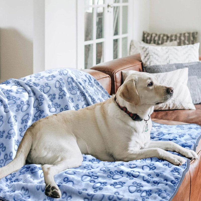 Fleece / Microfiber Pet Blanket, Gray