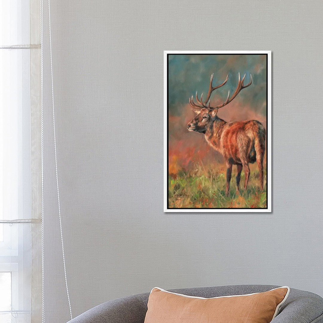 Red Deer Stag Evening Light von David Stribbling - Gallery-Wrapped Canvas Giclée on Canvas