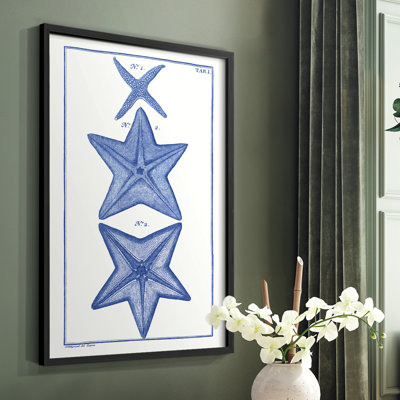 Blue Sea Stars II Framed Print - Solid Wood