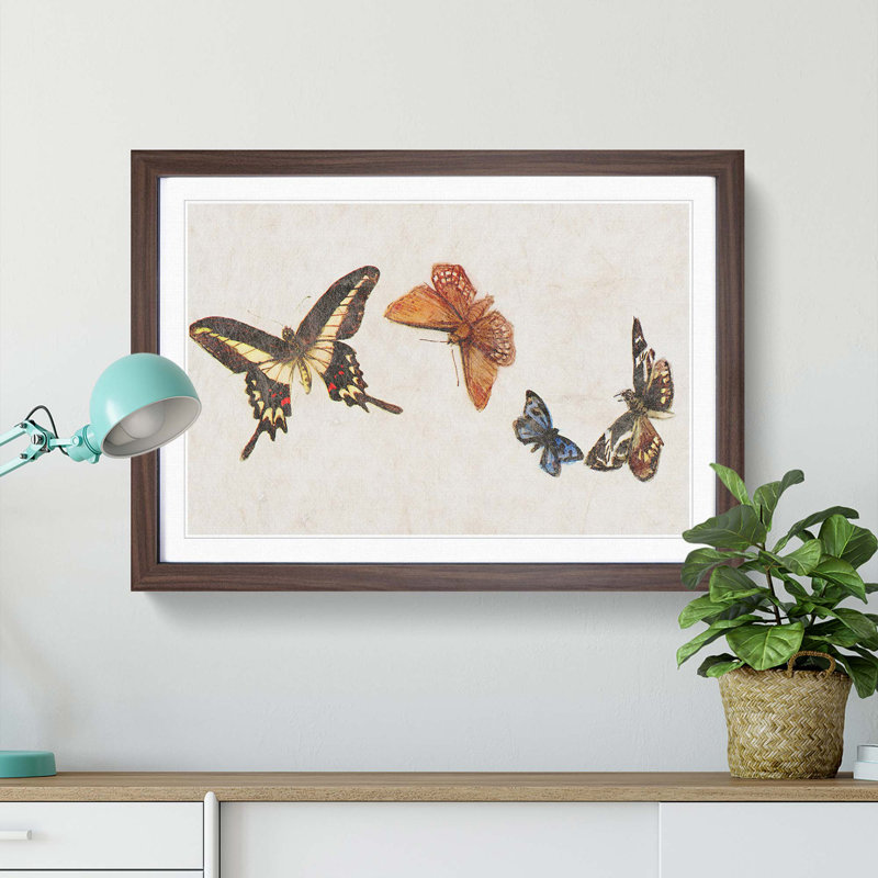 Four Butterflies by Fujishima Takeji - Framed Print, 36cm H x 48cm W x 2cm D, Walnut Framed