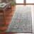 Mchellen Antique Patina Performance Oriental Rug-270891859