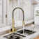 Spring Standard Kitchen Faucet with Dual-Function Spray Head and Deck Plate