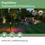 Bollard Lights