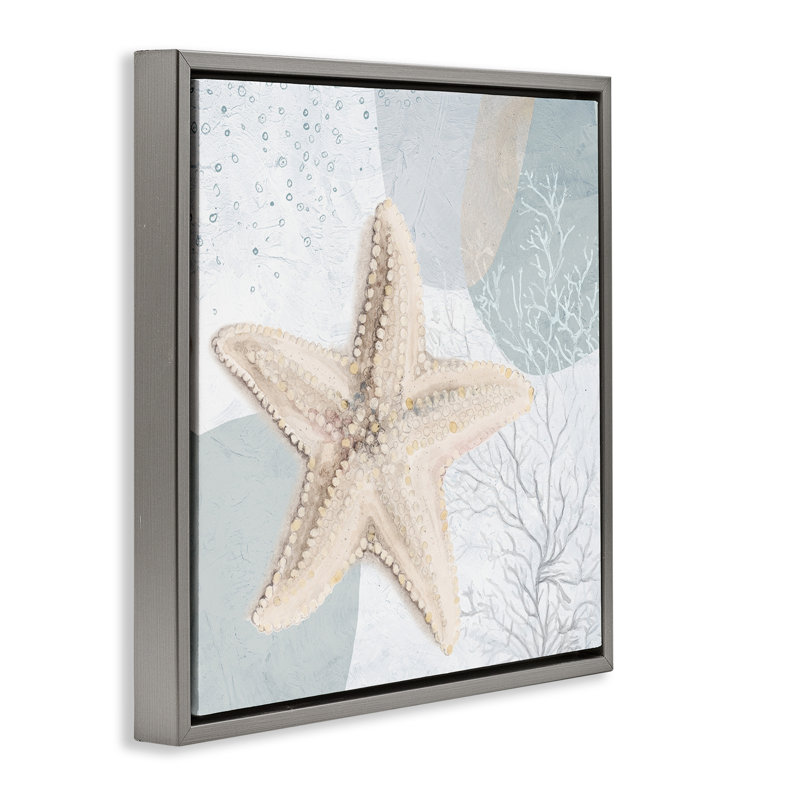 «Starfish over Circle», art mural encadré flottant par Patricia Pinto, Cadre flottant gris lustré, H 25 po x l 25 po