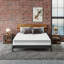 Wayfair Sleep Mattress-59137854