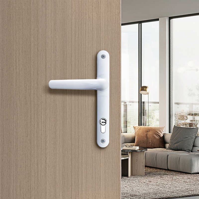 Keyless Door Handles 
