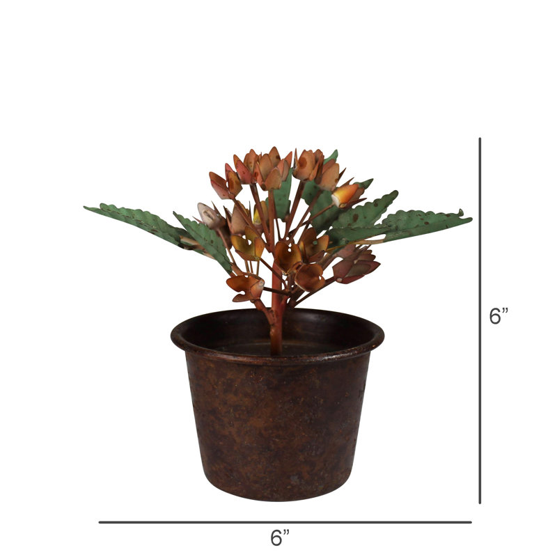 Fleur en pot, hortensia, aluminium