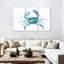 Crabe bleu Brampt-108100930