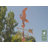 35'' H Metal Animals Weathervane
