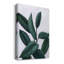 Verdic Ficus II - impression sur toile tendue-1634585883