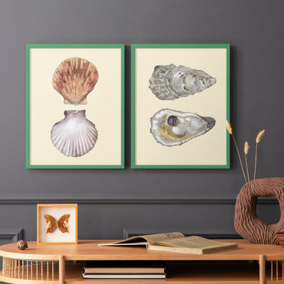 Coquilles bivalves III - reproduction encadrée de qualité supérieure - prête à être accrochée - aucun clou requis - aucun clou requis