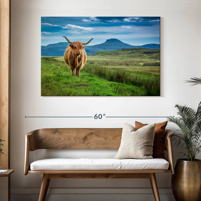 Brampt Skye Highland Cow, H 32 po x l 48 po