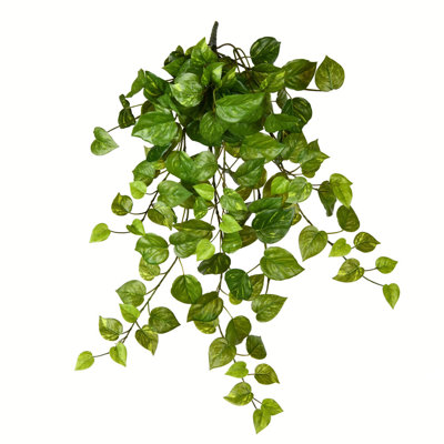 Buisson artificiel suspendu Pothos