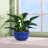 High quality ceramic flowerpot-2137162896
