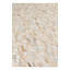 Tapis beige Nivens