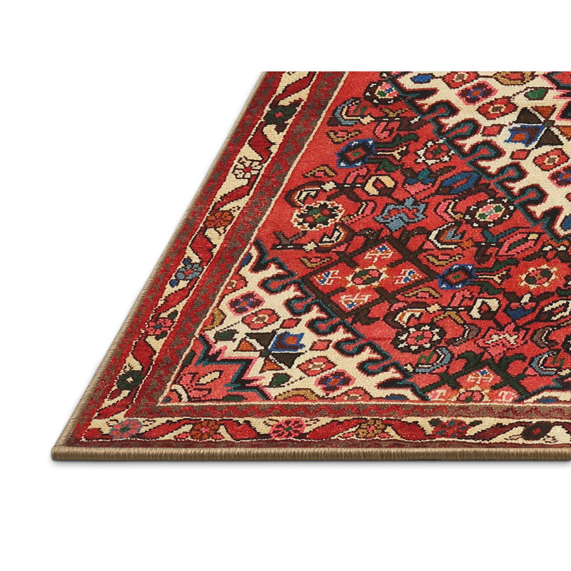 Tapis oriental oriental / noir / crème, Rectangle 5 pi x 7 pi