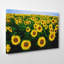 Yellow Sunflower Photographic - Wrapped Canvas-19096862