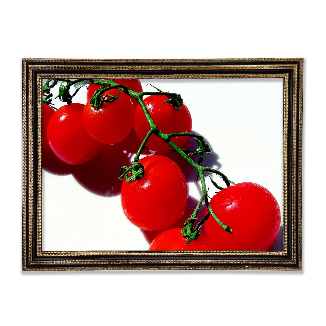 Red Cherry Tomato Vine Gerahmter Druck